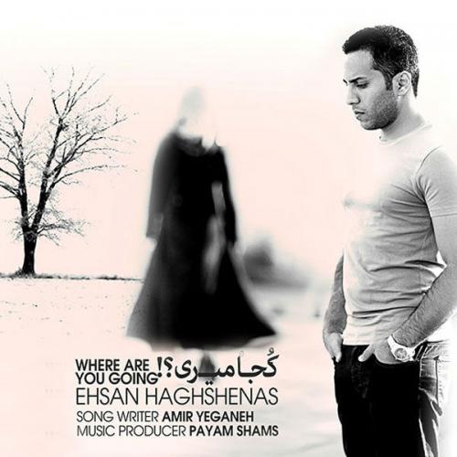 دانلود آهنگ کجا میری